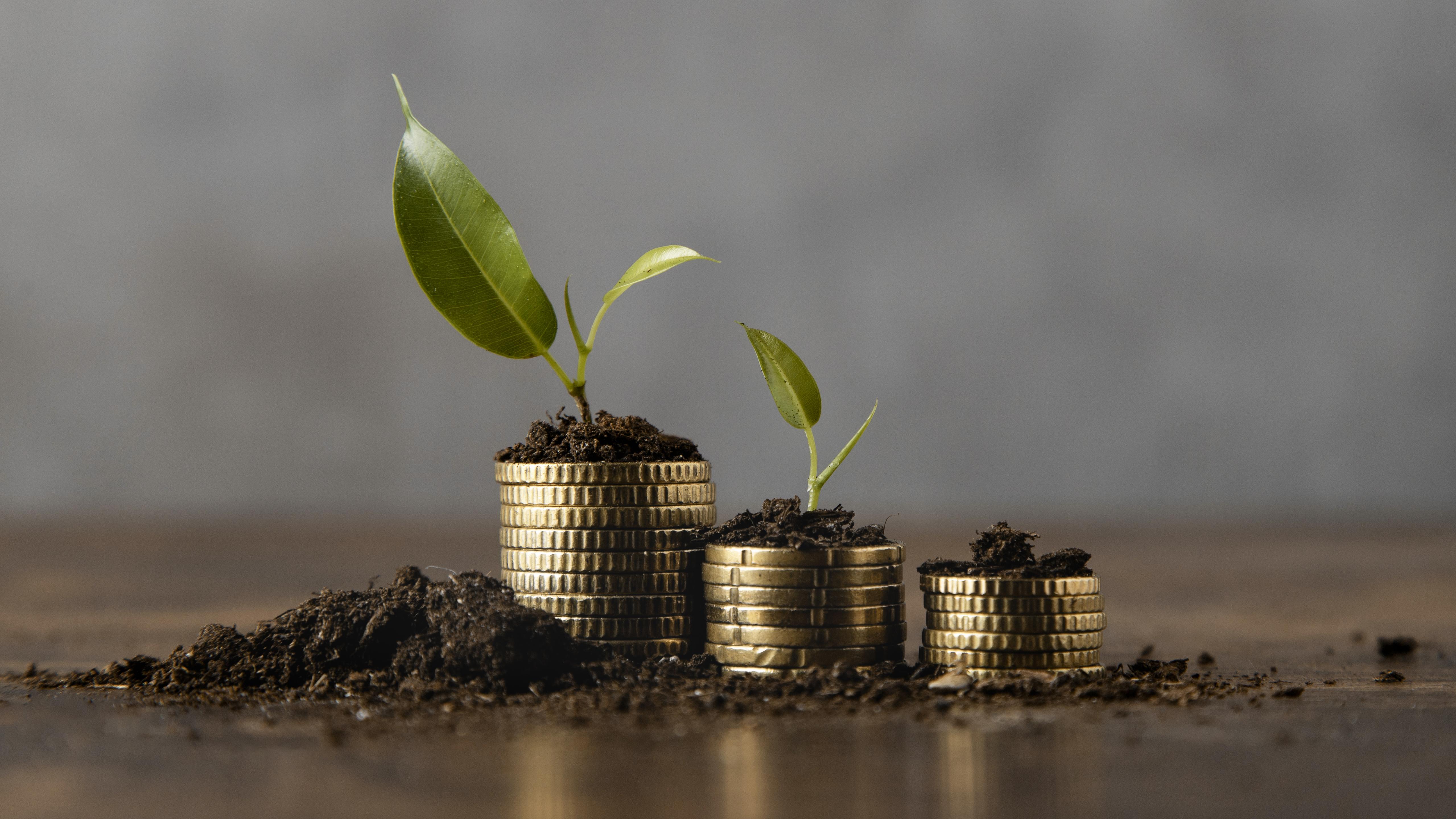 Budget Development Best Practices